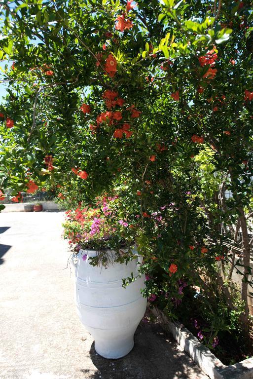 Kissamos Luxurious House Guest House Стая снимка
